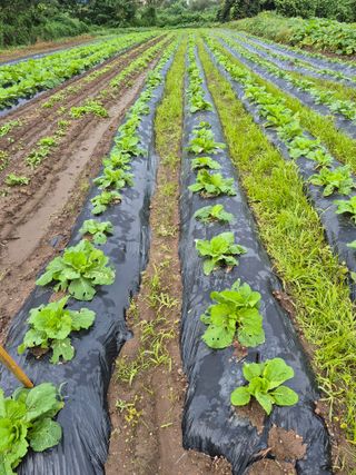 이정민님의 자유주제 · 자유게시판 작성글 사진