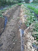 팜모닝 자유주제·자유게시판 게시글 이미지