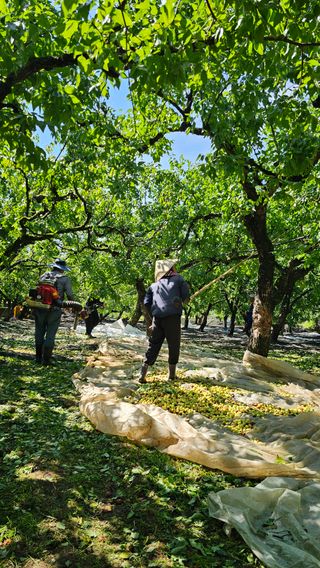 배성은365님의 자유주제 · 자유게시판 작성글 사진