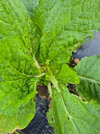 이정민님의 자유주제 · 자유게시판 작성글 사진