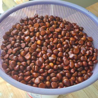 박흠님의 자유주제 · 자유게시판 작성글 사진