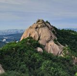 팜모닝 자유주제·자유게시판 게시글 이미지