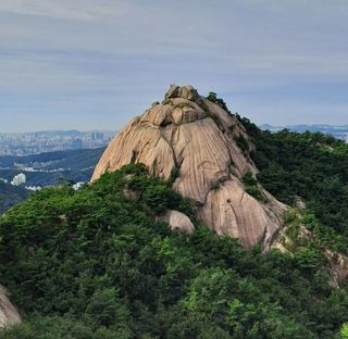 김윤기님의 자유주제 · 자유게시판 작성글 사진