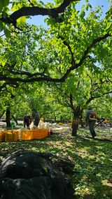 팜모닝 자유주제·자유게시판 게시글 이미지