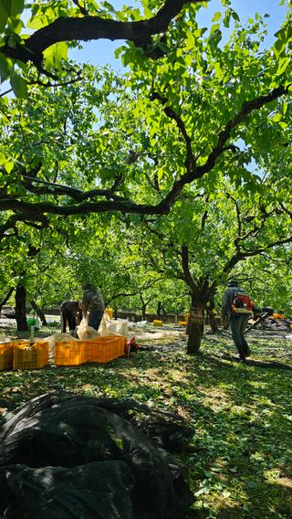 배성은365님의 자유주제 · 자유게시판 작성글 사진