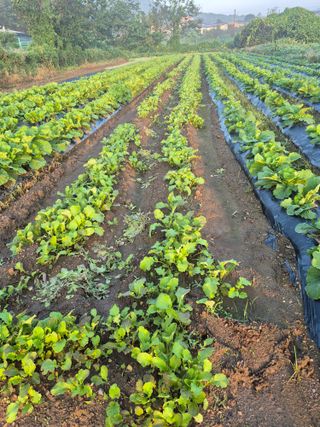 이정민님의 자유주제 · 자유게시판 작성글 사진