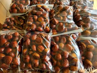 조한규(김효정)님의 작성글 사진