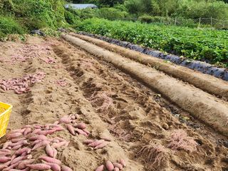 이윤미님의 자유주제 · 자유게시판 작성글 사진