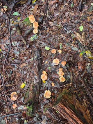 하이에나1님의 자유주제 · 자유게시판 작성글 사진