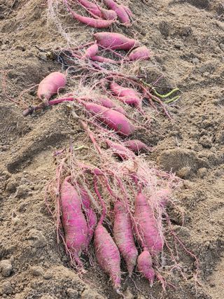 이윤미님의 자유주제 · 자유게시판 작성글 사진