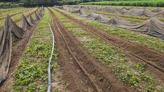 조병대님의 자유주제 · 자유게시판 작성글 사진