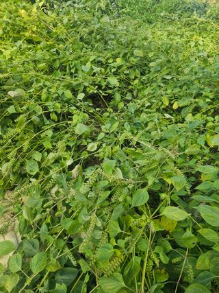 farmer님의 자유주제 · 자유게시판 작성글 사진