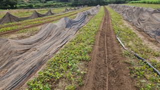 조병대님의 자유주제 · 자유게시판 작성글 사진