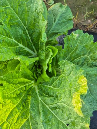 이정민님의 자유주제 · 자유게시판 작성글 사진