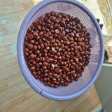 팜모닝 자유주제·자유게시판 게시글 이미지