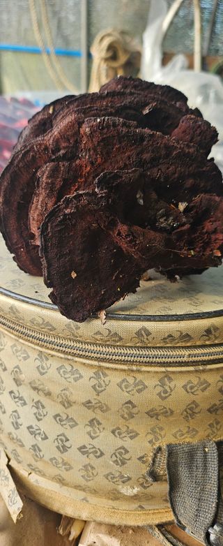 박민자 님의 자유주제 · 자유게시판 작성글 사진