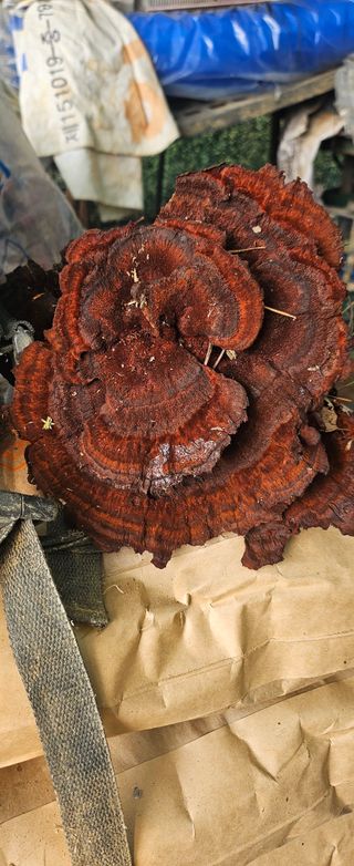 박민자 님의 자유주제 · 자유게시판 작성글 사진