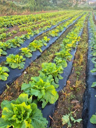 이정민님의 자유주제 · 자유게시판 작성글 사진