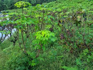 경남하동이주랑님의 자유주제 · 사진전 작성글 사진