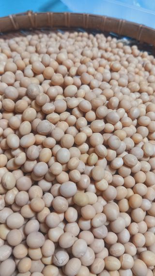 김복철님의 작성글 사진