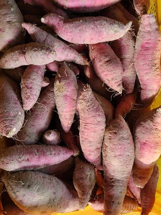 이윤미님의 자유주제 · 자유게시판 작성글 사진