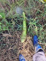 팜모닝 자유주제·자유게시판 게시글 이미지