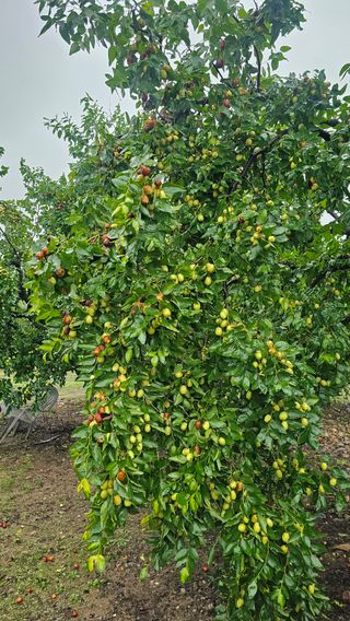 배성은365님의 자유주제 · 자유게시판 작성글 사진