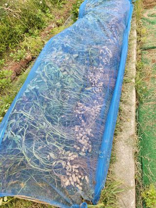 늘찬님의 자유주제 · 자유게시판 작성글 사진