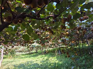 노고단님의 자유주제 · 자유게시판 작성글 사진