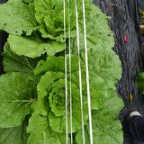 팜모닝 자유주제·자유게시판 게시글 이미지