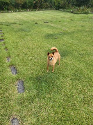 늘찬님의 자유주제 · 자유게시판 작성글 사진