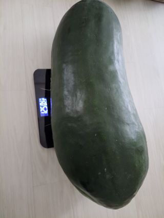 원빈님의 자유주제 · 자유게시판 작성글 사진