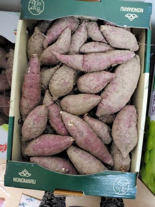 유경희님의 자유주제 · 자유게시판 작성글 사진