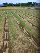 팜모닝 자유주제·자유게시판 게시글 이미지