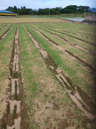 구춘모님의 자유주제 · 자유게시판 작성글 사진