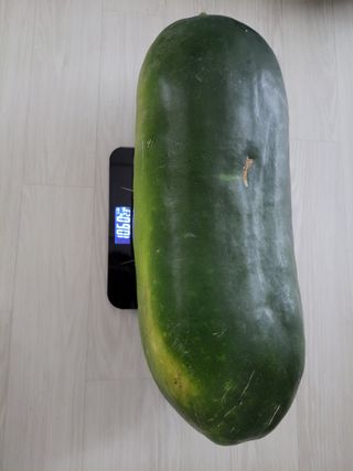 원빈님의 자유주제 · 자유게시판 작성글 사진