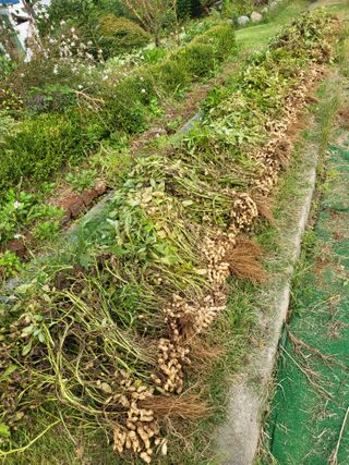 늘찬님의 자유주제 · 자유게시판 작성글 사진