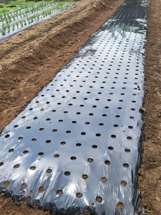 늘찬님의 자유주제 · 자유게시판 작성글 사진