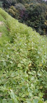 팜모닝 자유주제·자유게시판 게시글 이미지