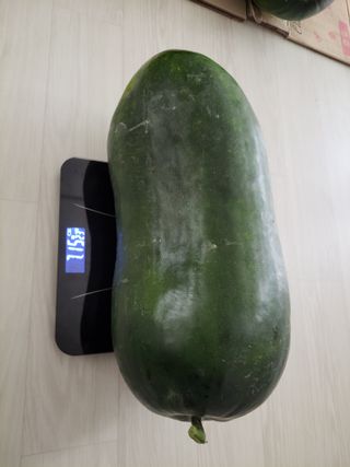 원빈님의 자유주제 · 자유게시판 작성글 사진