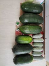 팜모닝 자유주제·자유게시판 게시글 이미지