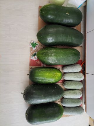 원빈님의 자유주제 · 자유게시판 작성글 사진