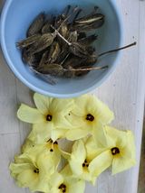 팜모닝 자유주제·자유게시판 게시글 이미지