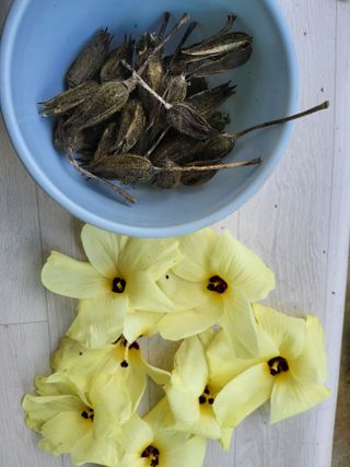 명한님의 자유주제 · 자유게시판 작성글 사진