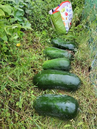 원빈님의 자유주제 · 자유게시판 작성글 사진