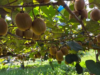 노고단님의 자유주제 · 자유게시판 작성글 사진