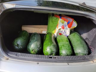 원빈님의 자유주제 · 자유게시판 작성글 사진