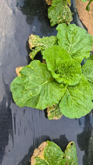 망치님의 자유주제 · 자유게시판 작성글 사진