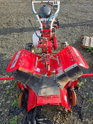 장지영님의 작성글 사진