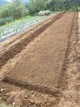 팜모닝 자유주제·자유게시판 게시글 이미지